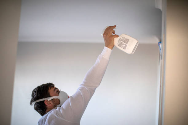 Best Attic Mold Remediation in Port Norris, NJ
